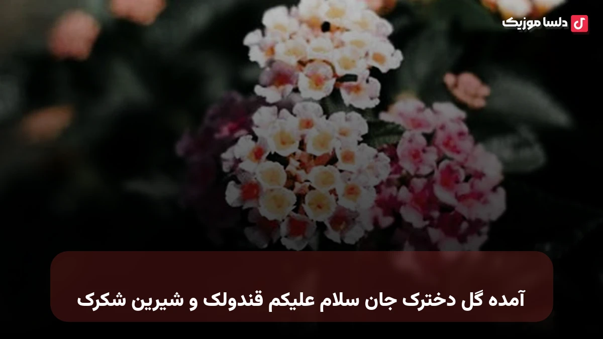 آمده گل دخترک جان سلام علیکم قندولک و شیرین شکرک